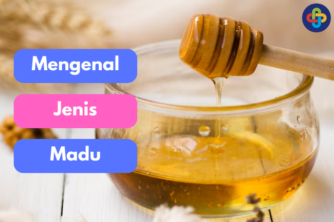 Madu Nusantara: Jenis-Jenis Madu yang Patut Kamu Coba